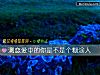 《测<i>恋爱</i>中的你是不是个糊涂人》测试