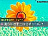《测今年双十二你会被告白吗?》测试