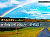 《会有同性对你产生爱情吗?》测试