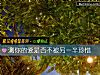 《测你的爱是否不被另一半珍惜》测试