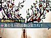 《测<i>中年</i>后你能翻身富贵吗?》测试