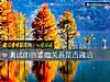 《测试你的<i>婆媳</i>关系是否融洽》测试