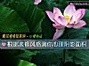 《根据装修风格测你心理阴影面积》测试