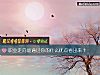 《<i>职业</i>走向能通过你的什么优点看出来?》测试