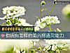 《你拥有怎样的第六感通灵<i>能力</i>》测试
