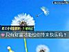 《只有财富才能给你带来<i>快乐</i>吗?》测试