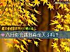 《八月你会遇到真命天子吗?》测试