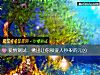 《爱情测试:揪出让你和<i>爱人</i>吵架的元凶》测试