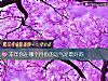《本年你在<i>哪个</i>月份的运气是最好的》测试
