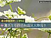 《测下半年你会有喜从天降吗?》测试