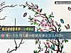 《测一下在别人<i>眼中</i>你的形象是怎么样的!》测试