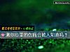 《测你心里的伤痛会被人知道吗?》测试