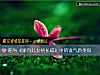 《你与《家有儿女初长成》中的谁<i>气质</i>类似》测试