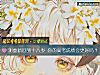 《测重新回到十八岁 你的高考成绩会更好吗?》测试