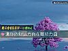 《测你的<i>财运</i>方向在哪些方面》测试