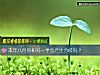 《<i>本年</i>八月你和另一半会产生分歧吗?》测试