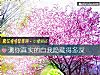 《测你<i>真实</i>的自我隐藏得多深》测试
