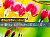 《测你对自己的定位够清楚吗?》测试