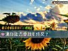 《测你能否拿到<i>年终奖</i>?》测试