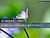《测未来你父母能和你公婆和平共处吗?》测试