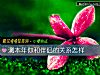 《测本年你和<i>伴侣</i>的关系怎样》测试