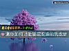 《测你如何才能够摆脱婚前焦虑症》测试