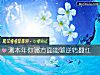 《测<i>本年</i>你哪方面能够逆转翻红》测试