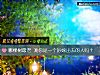 《哪棵树最老 测你是一个好嫁出去的人吗?》测试