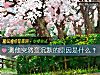 《测他突然变沉默的原因是什么?》测试