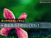 《你是他心中的白月光吗?》测试