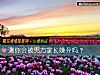 《测你会被男方家长嫌弃吗?》测试