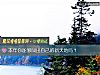 《<i>本年</i>你能够闯出自己的新天地吗?》测试