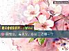《傲慢女,偏见女,你是二者哪一个》测试