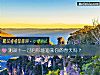 《测双十一过后你能迎来你的春天吗?》测试