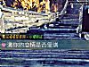 《测你的恋情是否<i>靠谱</i>》测试