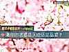 《测你的<i>老婆</i>是天使还是巫婆?》测试