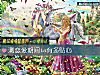 《测<i>恋爱</i>期间ta有多贴心》测试
