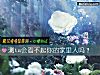 《测ta会看不起你的家里人吗?》测试