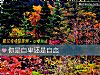 《你是<i>自卑</i>还是自恋》测试