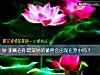 《测藏在你最深处的秘密会出现在梦中吗?》测试