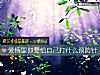 《爱情里你要给自己打什么预防针》测试