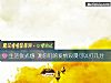 《生活仪式感 测你们的爱情浪漫可以打几分》测试