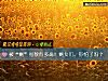《被“剩”<i>指数</i>有多高!剩女们,你怕了吗?》测试