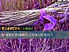 《测你们的感情会在冷战中结束吗?》测试