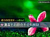 《测春节后你会不会有<i>横财</i>》测试