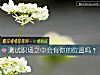 《测试<i>职场</i>之中会有你的位置吗?》测试
