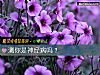 《测你是神经病吗?》测试