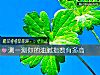 《测一测你的油腻指数有多高》测试