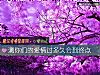 《测你们的爱情过多久会到终点》测试