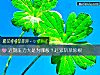 《近期<i>压力</i>大是为哪般？赶紧斩草除根》测试